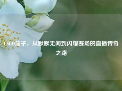 CSGO茄子，从默默无闻到闪耀赛场的直播传奇之路