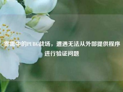 雾霭中的PUBG战场，遭遇无法从外部提供程序进行验证问题