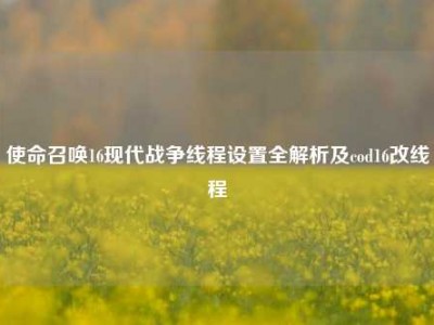 使命召唤16现代战争线程设置全解析及cod16改线程