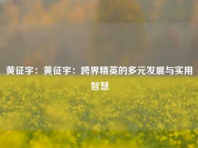 黄征宇：黄征宇：跨界精英的多元发展与实用智慧