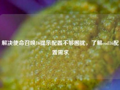 解决使命召唤16提示配置不够困扰，了解cod16配置需求
