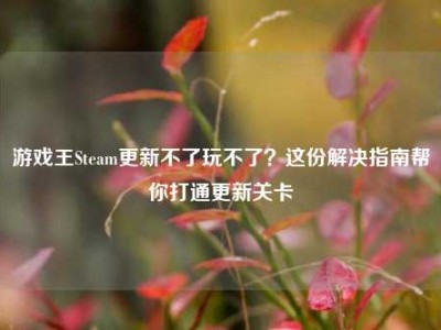 游戏王Steam更新不了玩不了？这份解决指南帮你打通更新关卡