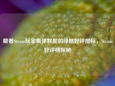 藏着Steam玩家集体默契的绿框好评图标，Steam好评榜探秘