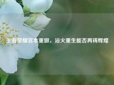 王者荣耀宫本重做，浴火重生能否再铸辉煌