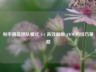 和平精英团队模式 1v1 高效刷取 AWM 的技巧策略