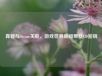 育碧与Steam关联，游戏世界新纽带及CD密钥