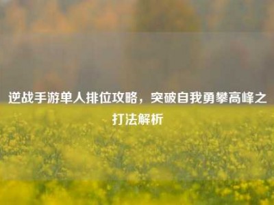 逆战手游单人排位攻略，突破自我勇攀高峰之打法解析