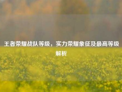 王者荣耀战队等级，实力荣耀象征及最高等级解析
