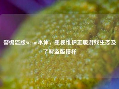 警惕盗版Steam本体，重视维护正版游戏生态及了解盗版模样