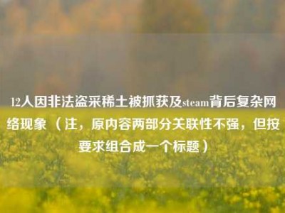 12人因非法盗采稀土被抓获及steam背后复杂网络现象 （注，原内容两部分关联性不强，但按要求组合成一个标题）