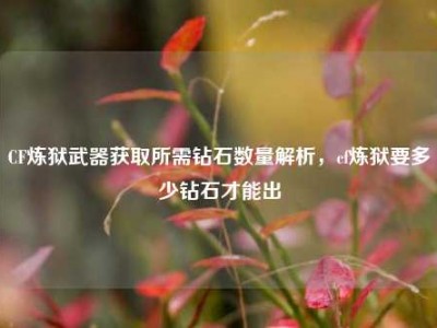 CF炼狱武器获取所需钻石数量解析，cf炼狱要多少钻石才能出
