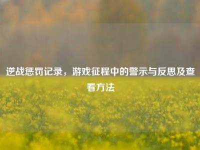 逆战惩罚记录，游戏征程中的警示与反思及查看方法