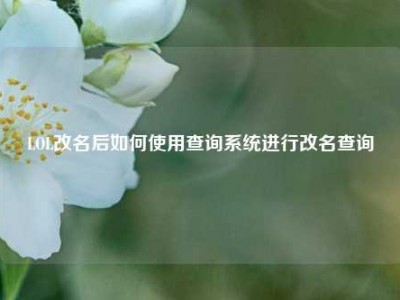 LOL改名后如何使用查询系统进行改名查询
