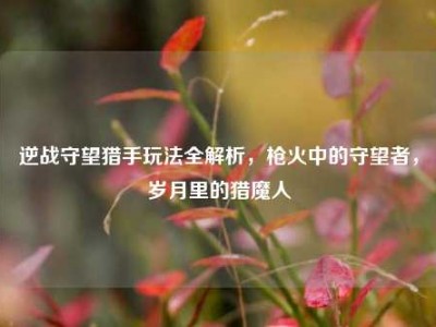 逆战守望猎手玩法全解析，枪火中的守望者，岁月里的猎魔人