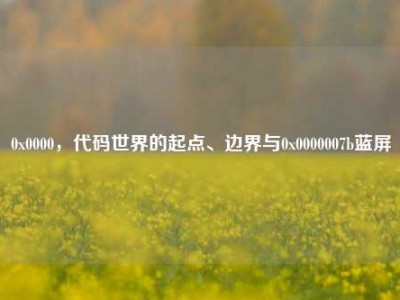 0x0000，代码世界的起点、边界与0x0000007b蓝屏