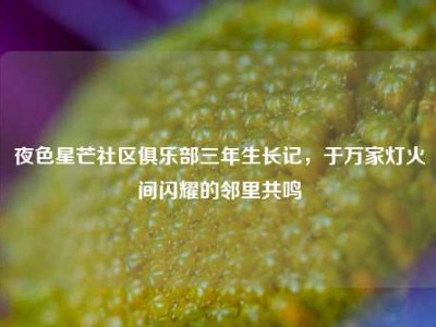 夜色星芒社区俱乐部三年生长记，于万家灯火间闪耀的邻里共鸣