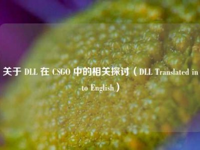 关于 DLL 在 CSGO 中的相关探讨（DLL Translated into English）
