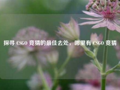 探寻 CSGO 竞猜的最佳去处，哪里有 CSGO 竞猜