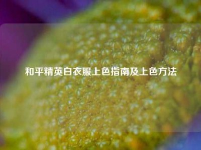 和平精英白衣服上色指南及上色方法