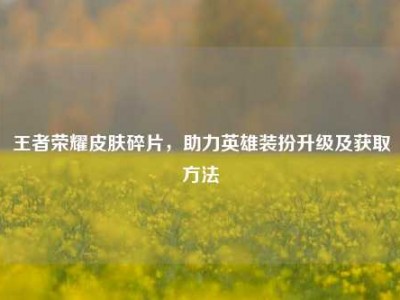 王者荣耀皮肤碎片，助力英雄装扮升级及获取方法