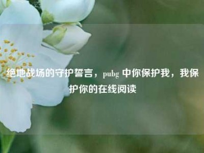 绝地战场的守护誓言，pubg 中你保护我，我保护你的在线阅读