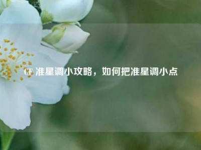 CF 准星调小攻略，如何把准星调小点