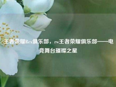 王者荣耀Rex俱乐部，rw王者荣耀俱乐部——电竞舞台璀璨之星