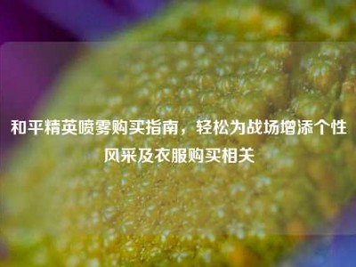 和平精英喷雾购买指南，轻松为战场增添个性风采及衣服购买相关