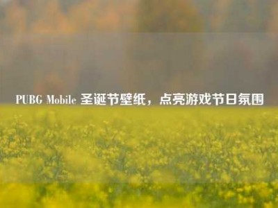 PUBG Mobile 圣诞节壁纸，点亮游戏节日氛围