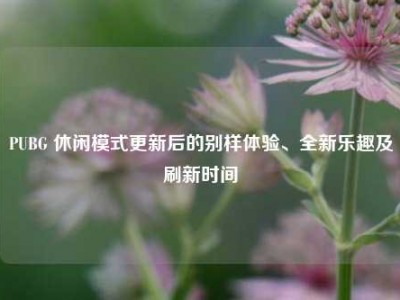 PUBG 休闲模式更新后的别样体验、全新乐趣及刷新时间