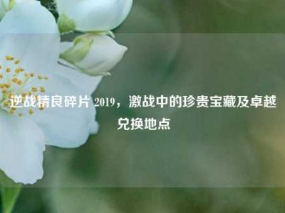逆战精良碎片 2019，激战中的珍贵宝藏及卓越兑换地点