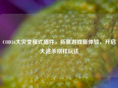 COD16大灾变模式插件，拓展游戏新体验，开启大逃杀别样玩法