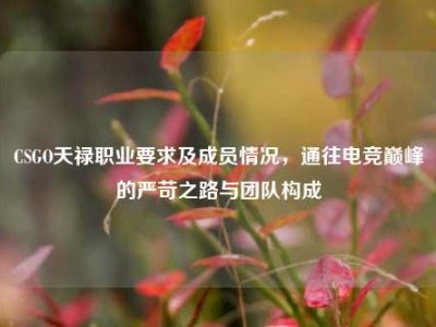 CSGO天禄职业要求及成员情况，通往电竞巅峰的严苛之路与团队构成