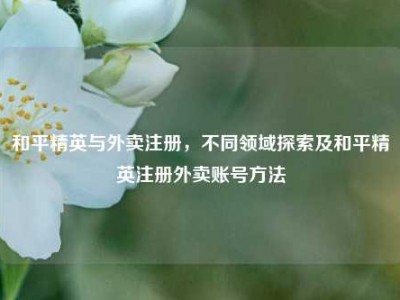 和平精英与外卖注册，不同领域探索及和平精英注册外卖账号方法