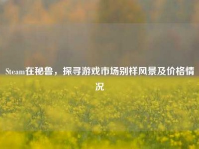 Steam在秘鲁，探寻游戏市场别样风景及价格情况