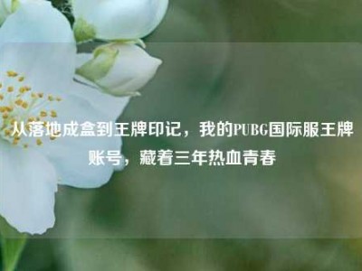 从落地成盒到王牌印记，我的PUBG国际服王牌账号，藏着三年热血青春