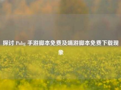 探讨 Pubg 手游脚本免费及端游脚本免费下载现象
