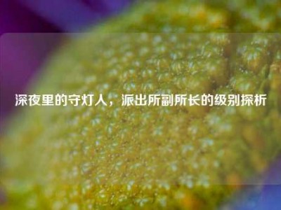 深夜里的守灯人，派出所副所长的级别探析