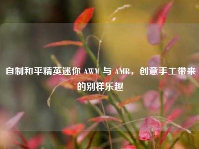 自制和平精英迷你 AWM 与 AMR，创意手工带来的别样乐趣