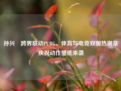 孙兴慜跨界联动PUBG，体育与电竞双圈热潮及庆祝动作壁纸来袭