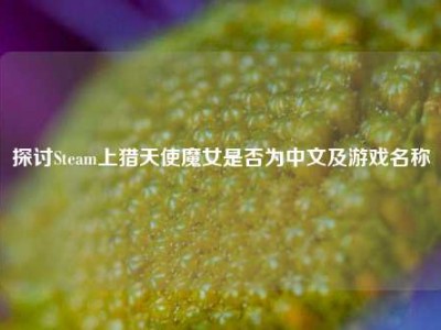 探讨Steam上猎天使魔女是否为中文及游戏名称