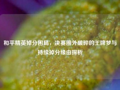 和平精英掉分困局，决赛圈外破碎的王牌梦与持续掉分缘由探析