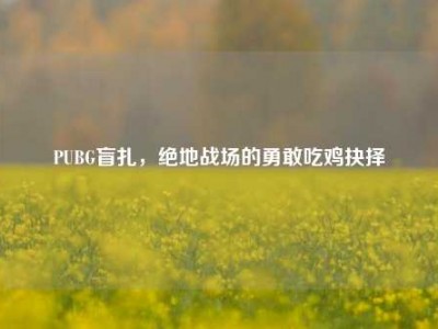PUBG盲扎，绝地战场的勇敢吃鸡抉择