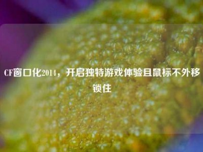 CF窗口化2014，开启独特游戏体验且鼠标不外移锁住