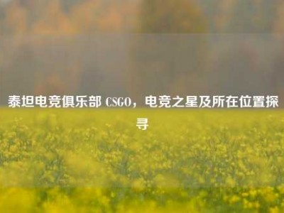 泰坦电竞俱乐部 CSGO，电竞之星及所在位置探寻