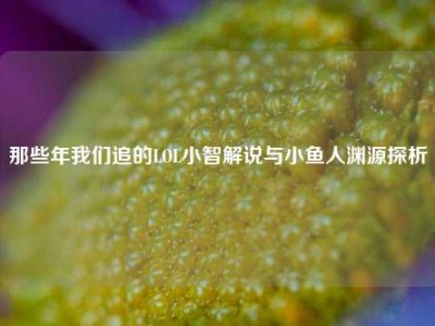 那些年我们追的LOL小智解说与小鱼人渊源探析