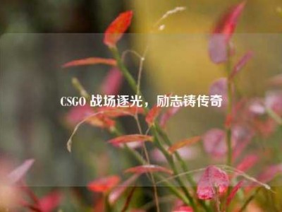 CSGO 战场逐光，励志铸传奇