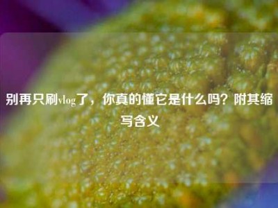别再只刷vlog了，你真的懂它是什么吗？附其缩写含义