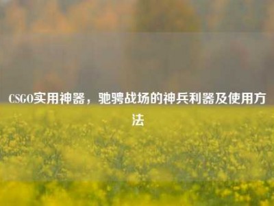 CSGO实用神器，驰骋战场的神兵利器及使用方法