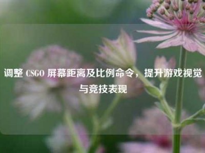 调整 CSGO 屏幕距离及比例命令，提升游戏视觉与竞技表现
